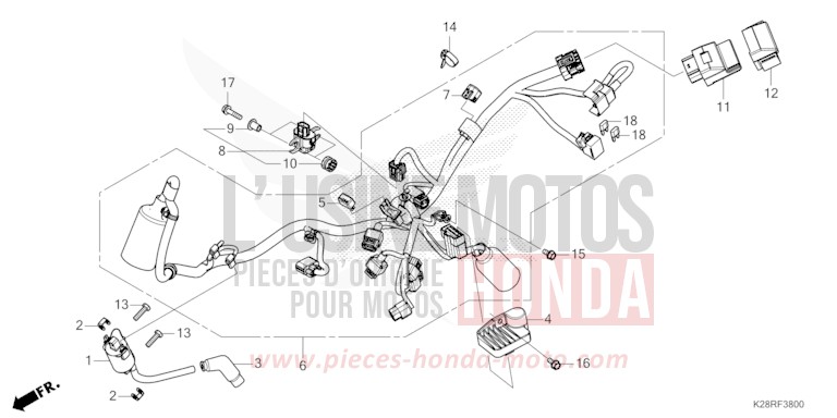 FAISCEAU DES FILS de CRF125F "Petites Roues" EXTREME RED (R292) 2025